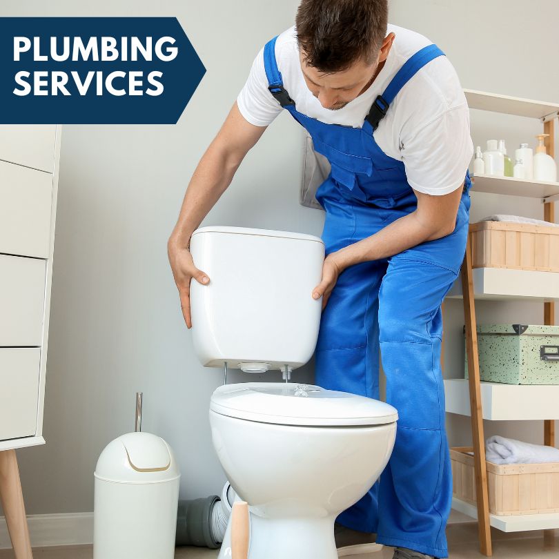 Plumbing Company in Crystal Bay, NV